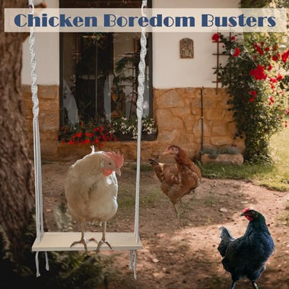 Chicken Swing Toy for Large Chicken Coop Accessories