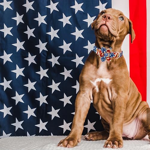 Elegant little tail Independence Dog Collar, Patriotic Pet Collar with Flower American 4th of July Holiday Cotton Soft Boy Girl Adjustable Dog Collars for X-Large Dogs