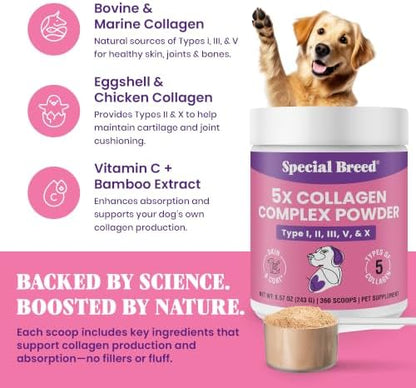 Premium 5X Collagen Powder for Dogs - Types I, II, III, V & X - Skin, Join, Gut & Coat Support - Collagen Powder with Bamboo & Vitamin C, 180 Scoops 8.57 oz