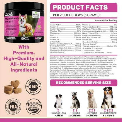 NutriTrail Multivitamin for Dogs – 10-in-1 Soft Chews with Glucosamine, Probiotics, Omega-3, Vitamins & Minerals – Supports Hip & Joint, Digestion, Skin & Coat, and Immune Health – Chicken, 120 Ct