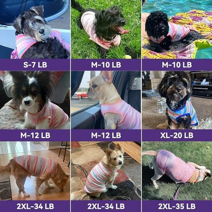 cyeollo 2Pack Dog Cooling Shirts Evaporative Dog Cooling Vest, XL, Purple