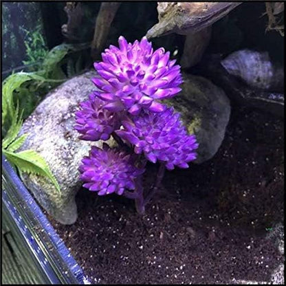 Reptile Plants Terrarium Decor,Reptile Tank Decorations