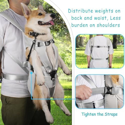 PetBonus Dog Front Carrier Backpacks, Legs Out Easy-fit Puppy Chest Carrier