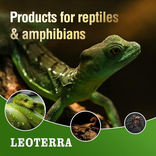 Leoterra 75W Reptile Night Heat Lamp, Purple Moonlight Heat Bulb for Snake, Bearded Dragon, Gecko, Turtle, Lizard Terrarium, Night Heating Bulb, E26 Base, 2-Pack
