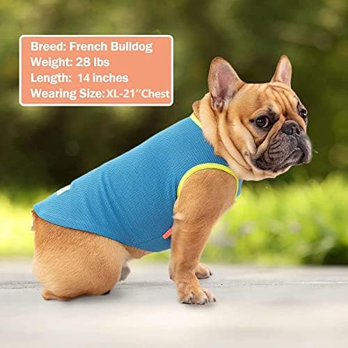KYEESE 2Pack Dog Shirt for Small Dogs Soft Breathable T-Shirts, Blue+Grey