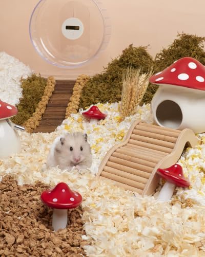 Niteangel Hamster Chew & Decor Toys: Pack of 2 Mushroom-Shape & Beech Wood