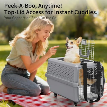 RIZZARI Hard-Sided Elevated Carrier: Rolling Pet Crate Ventilated 25 lbs