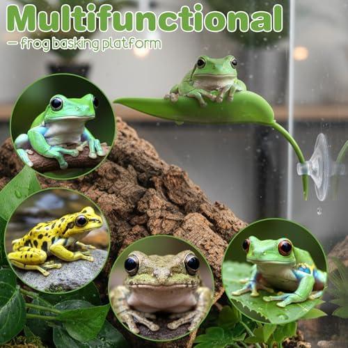 3 Pcs Crested Gecko Tank Accessories, Plastic Reptile Leaf Plant Ornament with Suction Cup Wall Climbing Gecko Hide Reptile Hide for Turtle Tank Decorations(Green)