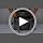 Cat Carrier Bag, Airline Approved Soft Carrier for Cats & Small Dogs