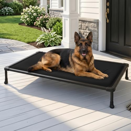 Veehoo Chew Proof Elevated Dog Bed, Padded Indestructible Raised Dog Cot