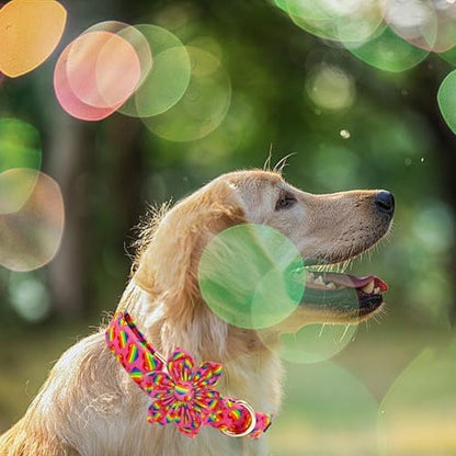 Elegant little tail LGBT Dog Collar, Rainbow Dog Collars with Flower Puppy LGBT for Pride Month Pet Flower Holiday Pet Sturdy Dog Girl Boy Adjustable Dog Collar for X-Small Dogs