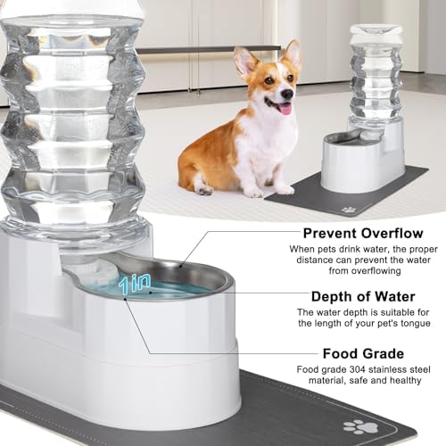 RIZZARI 8L Elevated Dog Water Dispenser: Senior Pets Filtered Hydration