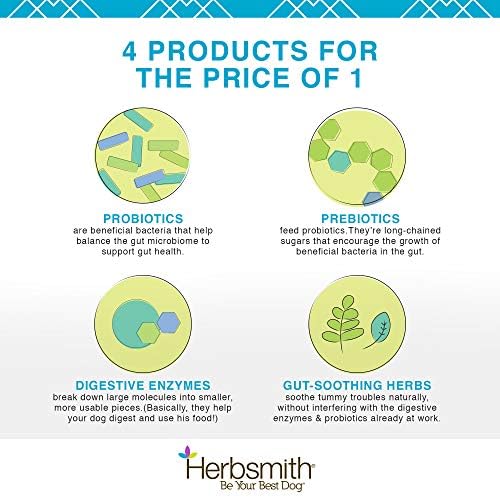 Herbsmith Microflora Plus – Dog Digestion Aid –Probiotics and Digestive Enzymes for Dogs – Prebiotic for Dogs – 30ct Capsules