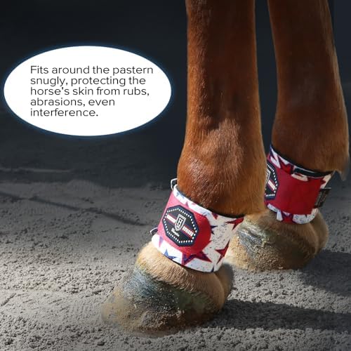 Harrison Howard Pastern Wraps for Horse Sold in Pairs Star