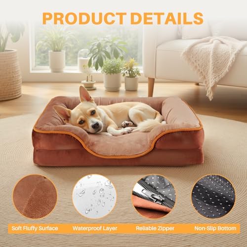 NEWBULIG 35x25 Inch Orthopedic Dog Bed for Indoor Use, Soft Surface