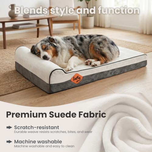 Laifug Orthopedic Memory Foam Extra Large Dog Bed with Pillow and Durable Waterproof Liner and Removable Washable Cover and Smart Design (Large (46" x 28" x 8"),Dark Green)