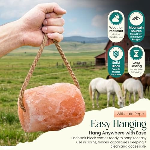 Himalayan Pink Salt Lick On Rope 6lbs for Horses, Deer, Goats & Livestock, Natural Mineral Salt Block with 84 Trace Minerals, Hanging Horse Salt Lick for Farm Animals & Wildlife (Pack of 3)