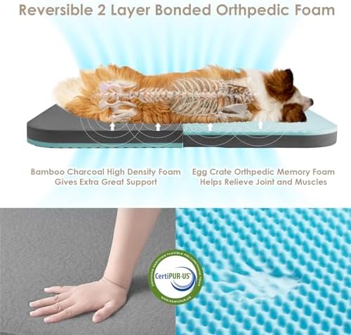 EHEYCIGA Orthopedic Foldable Human Dog Bed - 72x44x11, Camel