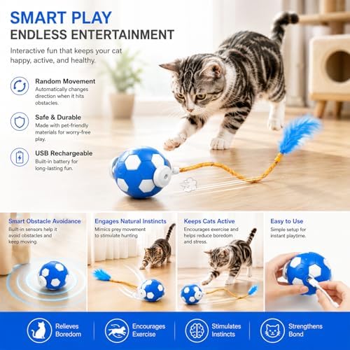 Cat Enrichment Toy, Chase Toy for Bored Indoor Adult Cats