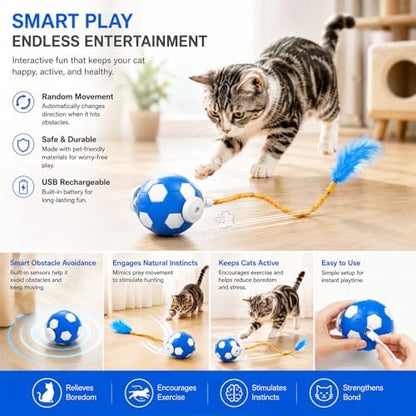 Cat Enrichment Toy, Chase Toy for Bored Indoor Adult Cats