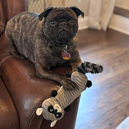 SPOT Skinneeez Stretch and Squeak Dog Toy - Stuffing-Free Stretchy Toy with Crinkle and Squeaker, Fun for Dogs to Tug and Fetch, Assorted Animal Characters - Beaver, Raccoon, or Fox - 13in