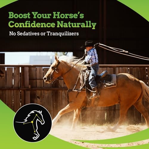SynChill AF Horse Calming Supplement Gel, 12 Pack