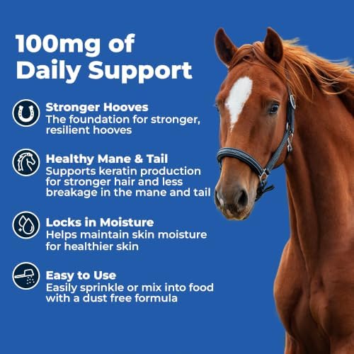 AniMed Biotin 100 Daily Horse Hoof Supplement & Equine Hair Growth Powder 5 lbs