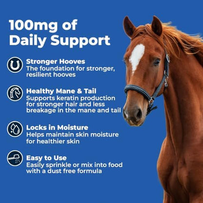 AniMed Biotin 100 Daily Horse Hoof Supplement & Equine Hair Growth Powder 5 lbs