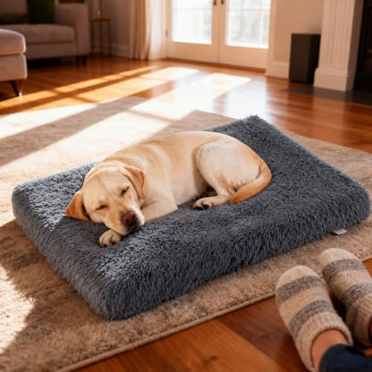 Orthopedic Memory Foam Dog Bed X-Large Crate Pad 44 x 32 Inch Dark Gray
