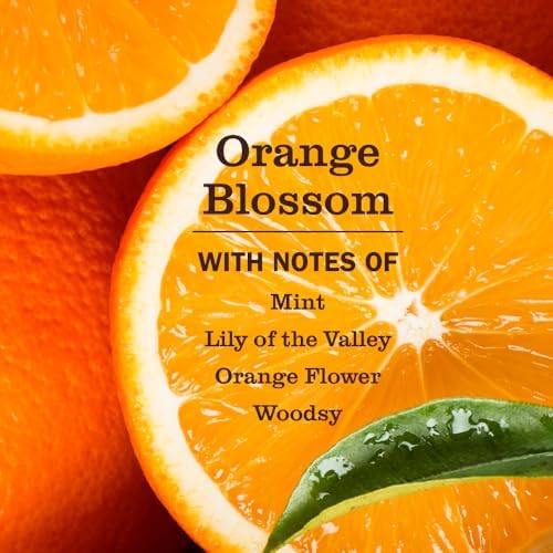 MRS. MEYER'S CLEAN DAY Pet Multi-Surface Cleaner, Orange Blossom, 16 fl oz