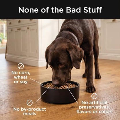 Go! Solutions Skin + Coat Care Beef Dry Dog Food, 22 lb