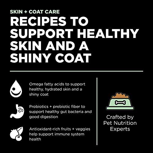 Go! Solutions Skin + Coat Care Turkey Dry Dog Food with Grains, Chicken-Free, Healthy Kibble with Omega-3s & 6s for Soft, Shiny Fur, for Puppies, Adults, & Seniors, 22 lb Bag
