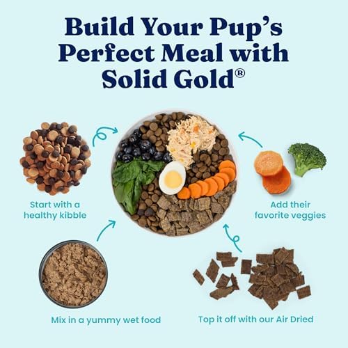 Solid Gold Lamb Wet Dog Food for Adult & Senior Dogs, Meal & Topper, 6 Cans