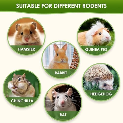 Chew Treat Rabbit Toys for Teeth Health, Natural Bunny Enrichment Toys for Boredom & Stress Relief, Keep Busy Toys for Guinea Pig Chinchilla Hamster Rat Gerbil Degu (29Pcs 5 Flavors)