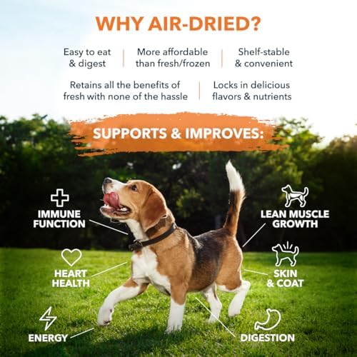 Elevate Pet Provisions Human Grade Air Dried Beef Jerky Dog Treats, 8 oz