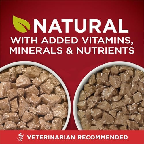 Purina ONE True Instinct Variety Wet Dog Food, Tender Cuts, (12) 13 oz Cans