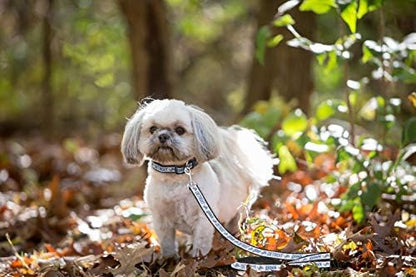 Pets First NFL Licensed Detroits Lions Pet Leash, Size Large – Durable Satin Dog & Cat Walking Strap and Pet Tether with Embroidered Team Name & Logo