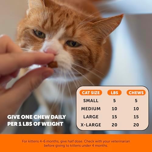 Senior Cat Joint Supplement Crunchy Creamy Hip + Joint for Cats - Ease Mobility Stiffness with Glucosamine Chondroitin, Green Lipped Mussel, Flexibility + Joint Support Chews (30-Day Supply)