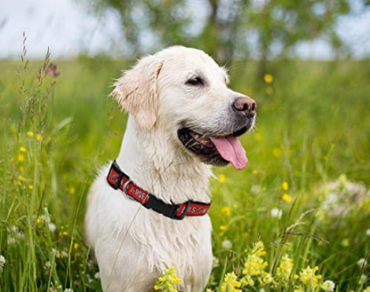 Pets First NHL Collar for Dogs & Cats. Adjustable, Cute, & Stylish! The Ultimate Hockey Fan Collar!