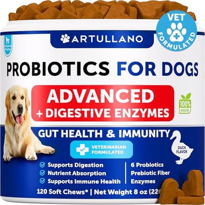 Probiotics for Dogs - 120 Chews - Dog Yeast Probiotic - Dog Probiotics