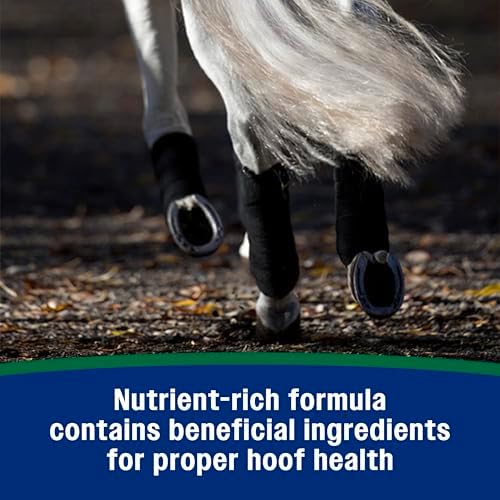 Farnam Horseshoer's Secret Pelleted Hoof & Biotin Supplements, 11 lb