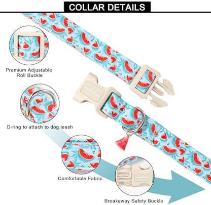 Lionet Paws Summer Dog Collar- Cute Watermelon Light Blue Dog Collars with Plastic Buckle and Watermelon Pendant, Light Adjustable Dog Collars for Small Medium Dogs