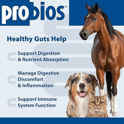Probios Digestive Support Powder for Pets, 240 g