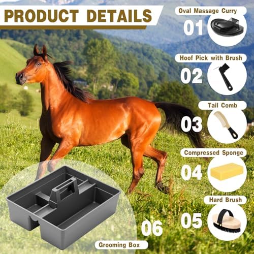 Abbylike Horse Grooming Kit with Tote Bag, 6-Piece Horse Care Set with Brush, Comb & Hoof Pick, Portable Grooming Supplies Organizer(Gray)