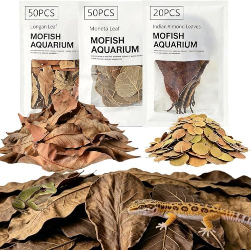 120Pcs Leaf Litter Reptiles Indian Almond & Longan Moneta Leaves