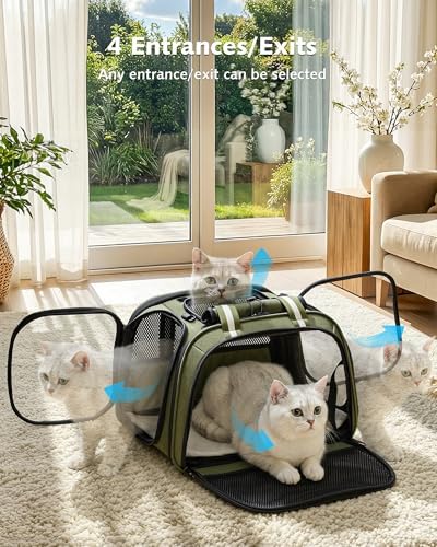 Pecute Cat Carrier,Double Bubble Pet Carrier for Cat Small Dogs,Green,M