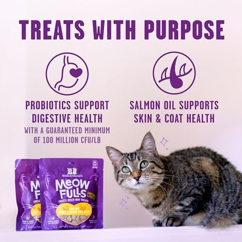 Stella & Chewy's Meowfulls Freeze Dried Cat Treats - Chicken & Chicken Liver Recipe - Raw Protein with Probiotics & Salmon Oil - 1 Calorie Per Treat - 1.5 oz