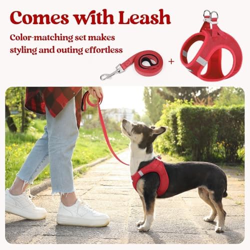rabbitgoo Dog Harness Small Sized and Leash Set, Step-in Puppy Pet Vest