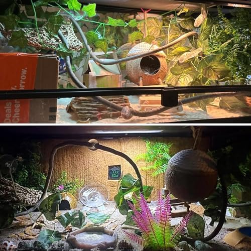 Leopard Gecko Coconut Hut with Ladder,Grested Gecko Coco Den Lizards Hanging Coconut Shell Hideout Cave Reptiles Tank Accessories Climbing Hanging Plants Jungle Vine Flexible Leaves Decor