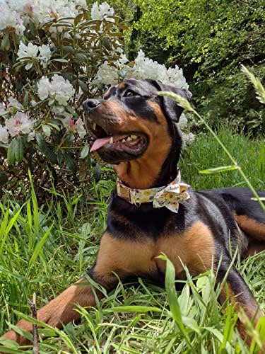 Elegant little tail Sunflower Girl Dog Collar for Female Dogs, Pet Collar Adjustable Dog Collars with Flower Gift for Large Dogs